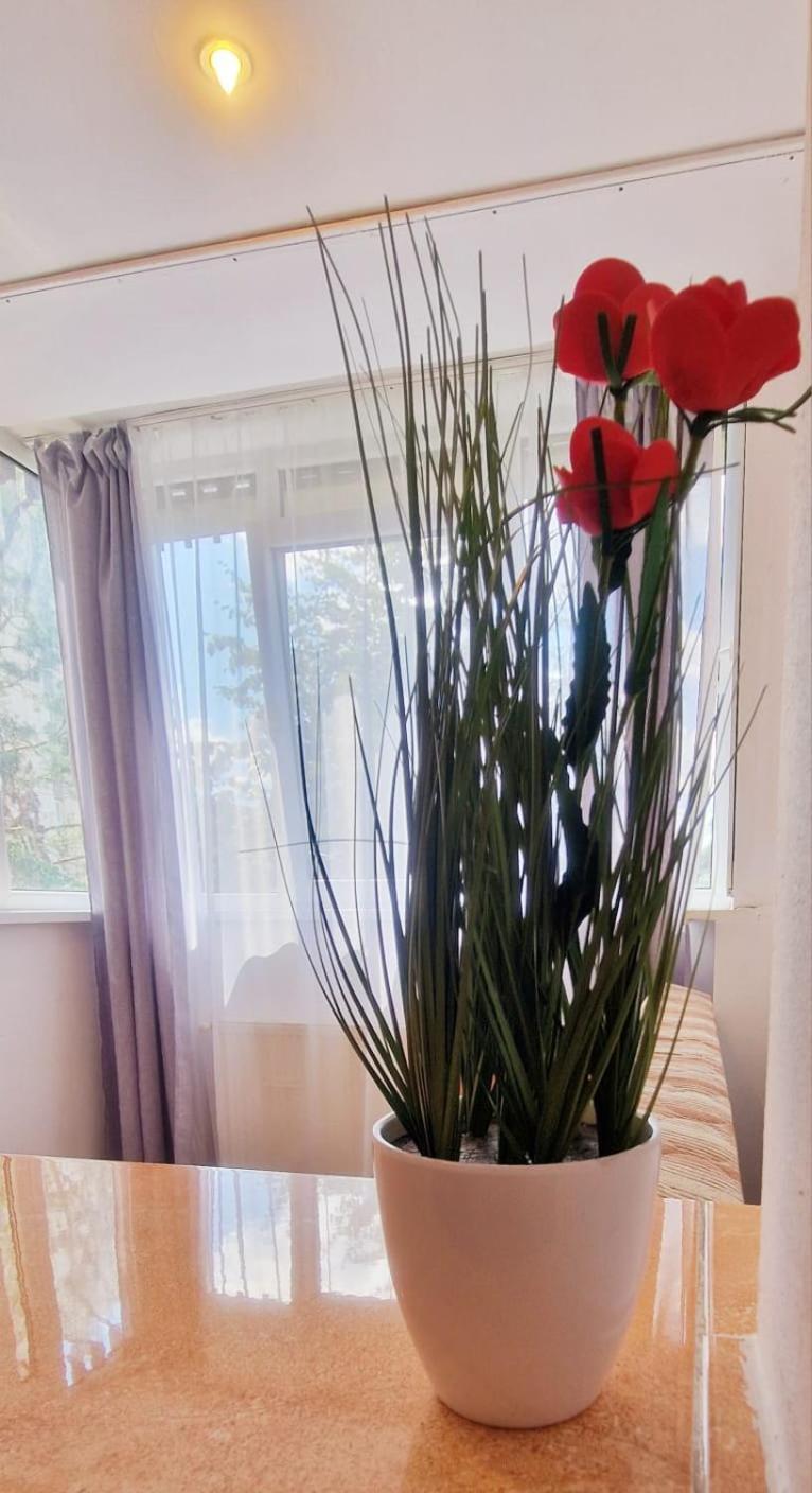 Stephanie Apartment-Centru Civic Μπρασόβ Εξωτερικό φωτογραφία
