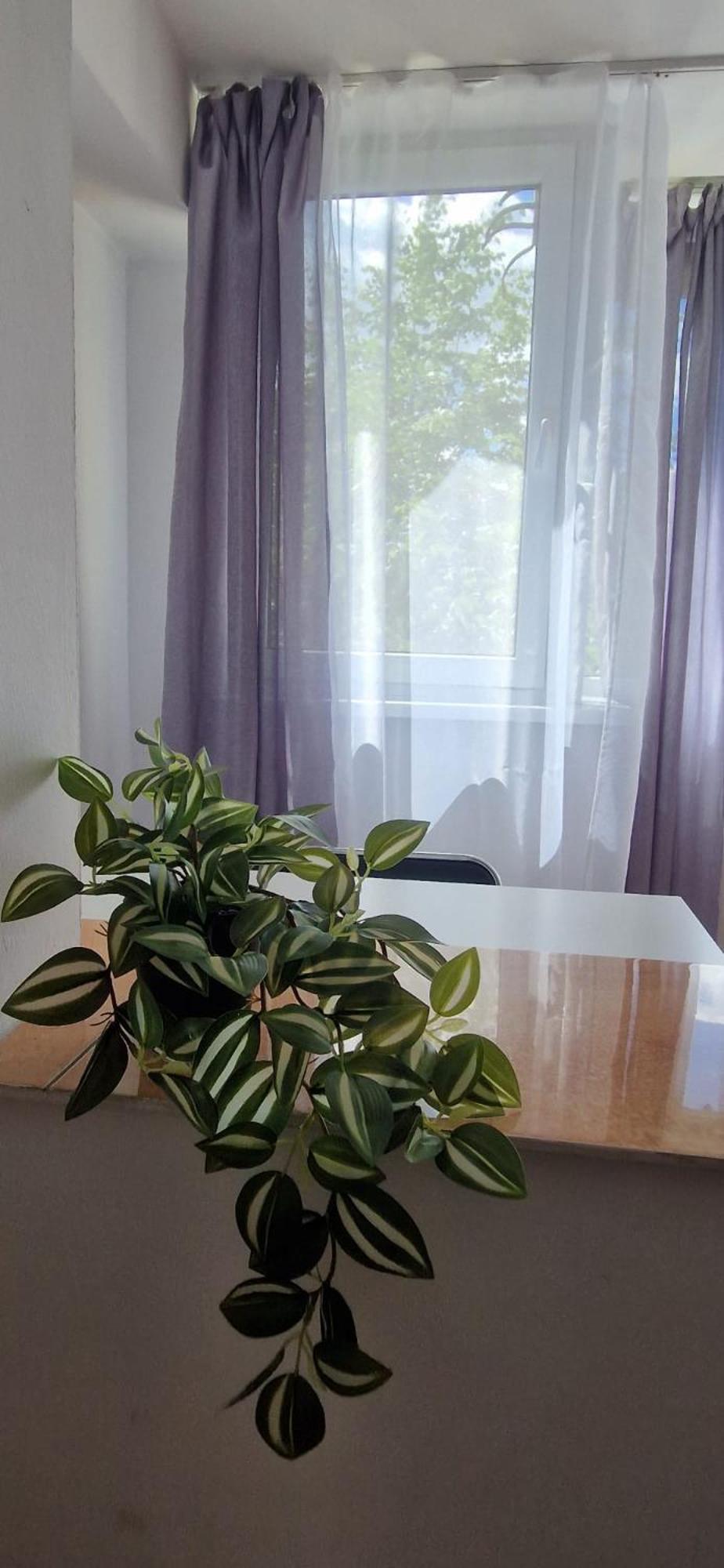 Stephanie Apartment-Centru Civic Μπρασόβ Εξωτερικό φωτογραφία