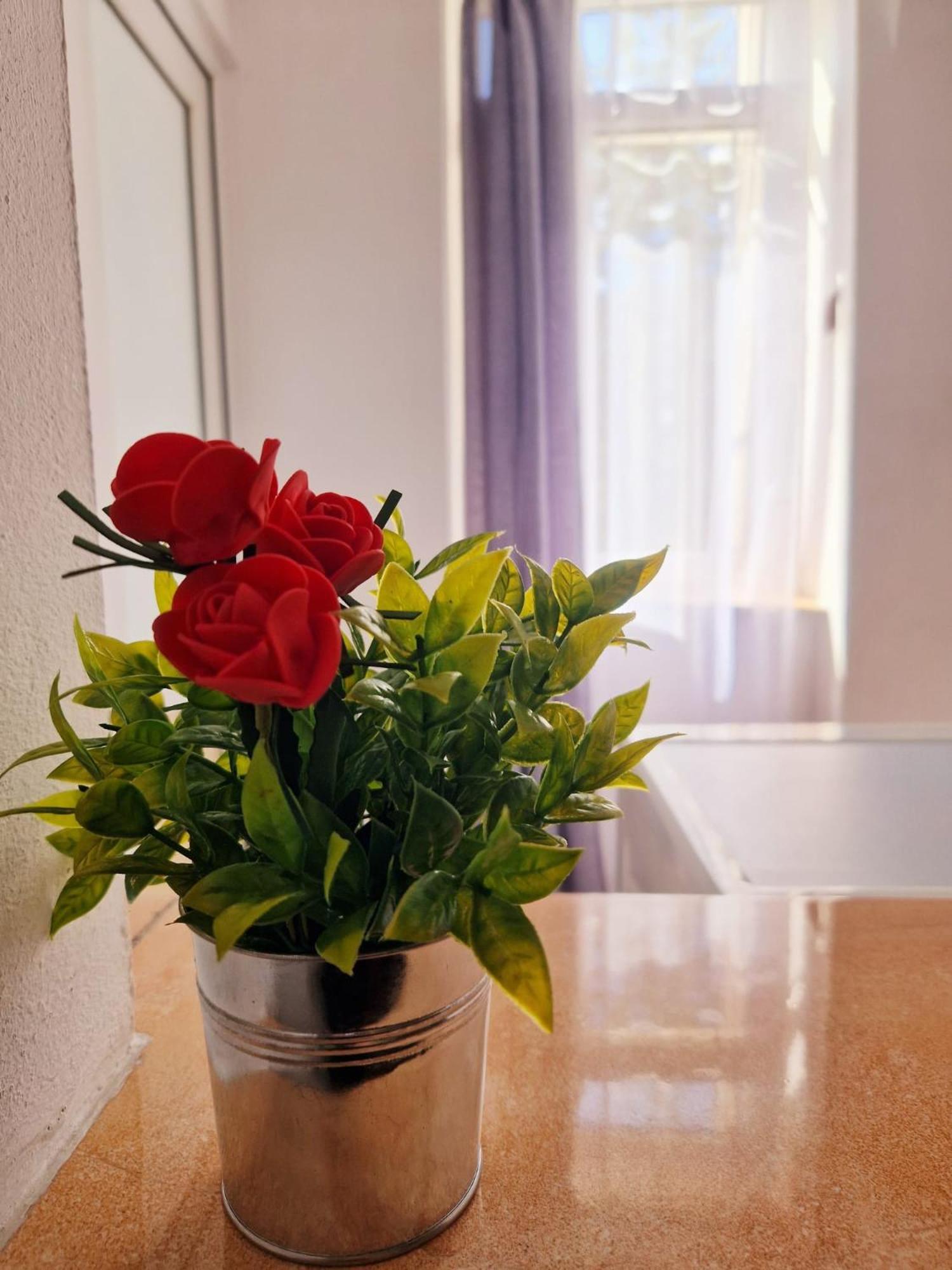 Stephanie Apartment-Centru Civic Μπρασόβ Εξωτερικό φωτογραφία